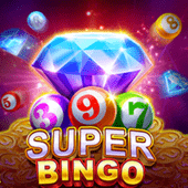 Super Bingo VIP